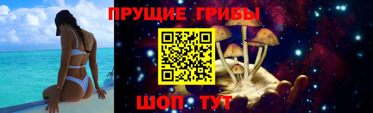 Гусиноозёрск  Галлюциногенные грибы прущие грибы  Вход с VPN  Псилоцибиновые грибы MAGIC MUSHROOMS 